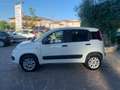 Fiat Panda Autocarro 2 posti 4x4 Bianco - thumbnail 4