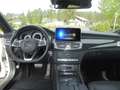 Mercedes-Benz CLS 350 CLS 350 BlueTec / d 4Matic AMG Weiß - thumbnail 33