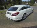 Mercedes-Benz CLS 350 CLS 350 BlueTec / d 4Matic AMG White - thumbnail 6
