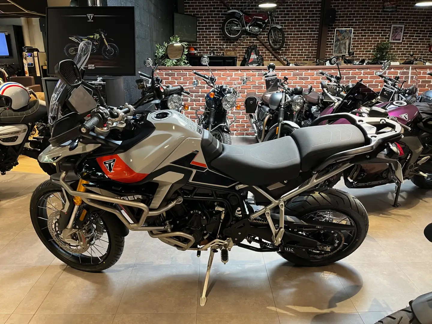 Triumph Tiger 900 - 1