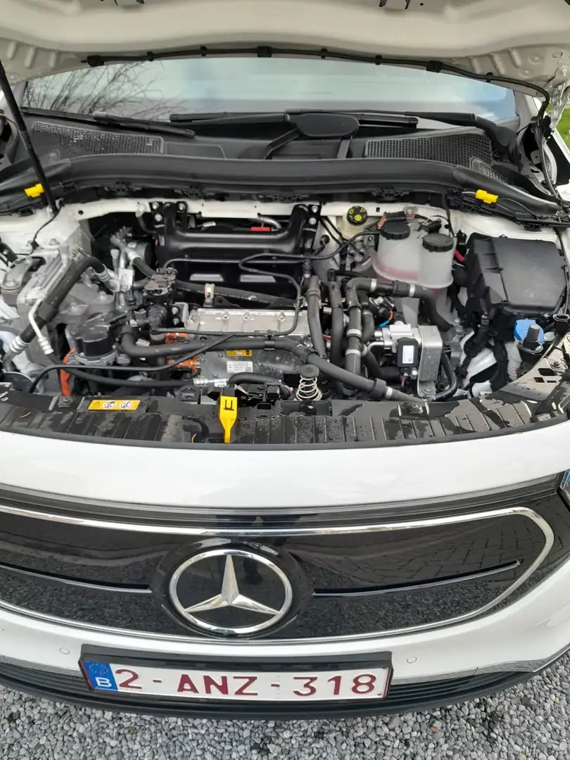 Mercedes-Benz EQA 66.5 kWh 250 Blanc - 2