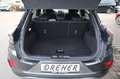 Ford Puma Puma 1.0 EcoBoost Mild Hybrid Titanium Sitzhzg. BC Grau - thumbnail 29