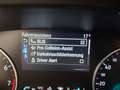 Ford EcoSport 1,0 EcoBoost ST-Line Rot - thumbnail 25
