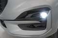Ford Kuga 2.0 ECOBLUE 120CV AUT ST-LINE Silber - thumbnail 27