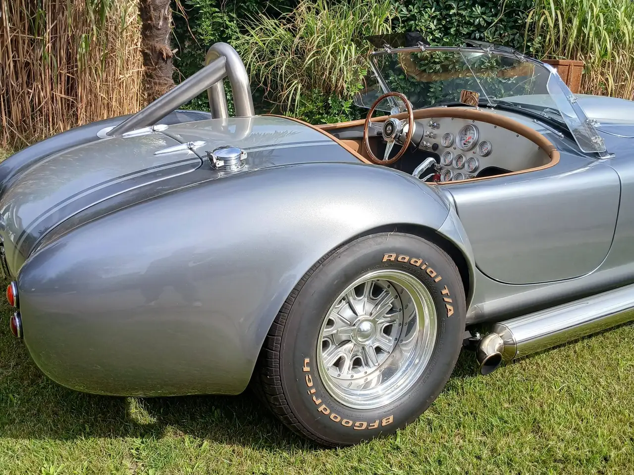AC Cobra, foto 2