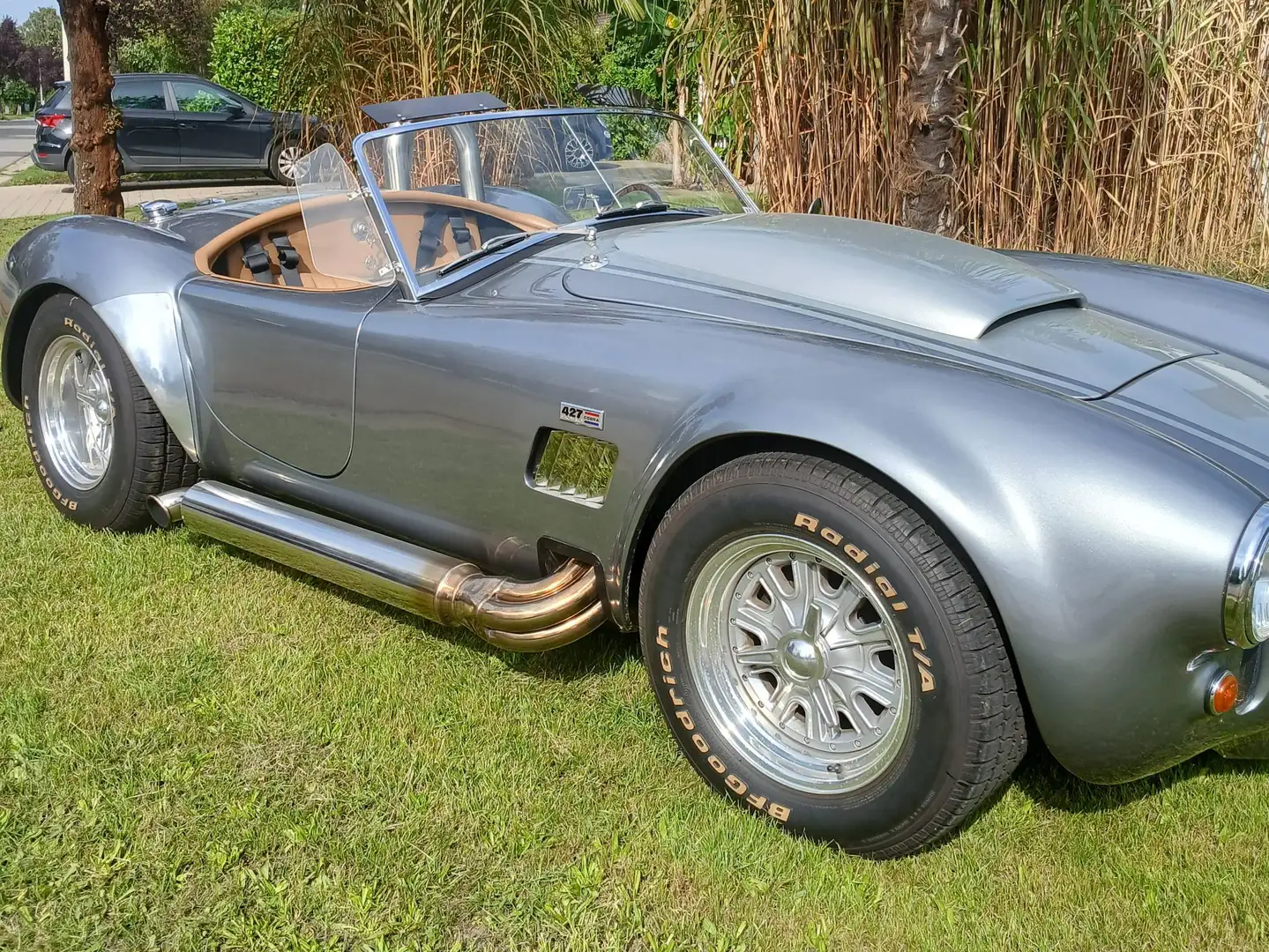 AC Cobra Silber - 1