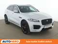 Jaguar F-Pace 20d R-Sport AWD Aut.*NAVI*BI-XENON*ACC*CAM*SHZ*PDC Weiß - thumbnail 8