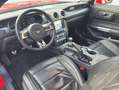 Ford Mustang Fastback+deutsch+Sportabgs+ Rot - thumbnail 9