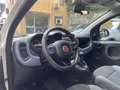 Fiat Panda Panda 0.9 t.air t. natural power Easy 80cv Neopat Bianco - thumbnail 7