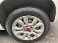 Fiat Panda Panda 0.9 t.air t. natural power Easy 80cv Neopat Bianco - thumbnail 12