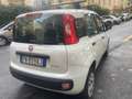 Fiat Panda Panda 0.9 t.air t. natural power Easy 80cv Neopat Bianco - thumbnail 3