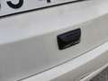 Lancia Ypsilon 1.0 FireFly 5 porte S&S Hybrid Platino Bianco - thumbnail 4