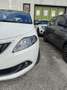 Lancia Ypsilon 1.0 FireFly 5 porte S&S Hybrid Platino Bianco - thumbnail 11