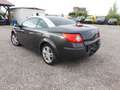 Renault Megane Mégane Cabrio Grau - thumbnail 6