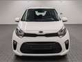 Kia Picanto Klima/Radio-BT/SHZ/LHZ/BC/USB Weiß - thumbnail 7