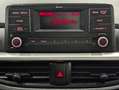 Kia Picanto Klima/Radio-BT/SHZ/LHZ/BC/USB Weiß - thumbnail 14