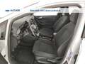 Ford Fiesta 5p 1.5 ecoblue Titanium 85cv s&s my20.25 Blanc - thumbnail 17