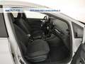 Ford Fiesta 5p 1.5 ecoblue Titanium 85cv s&s my20.25 Blanc - thumbnail 19