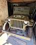 Jeep Willys OLDTIMER Grün - thumbnail 15