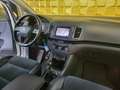 SEAT Alhambra Alhambra 2.0 TDI 4Drive ALLRAD/KAMERA/AHK/NAV Weiß - thumbnail 8