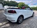 Volkswagen Golf GOLF VI CABRIO BMT LEDER SITZHZG. TEMPO. PDC ALU Blanco - thumbnail 6