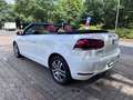 Volkswagen Golf GOLF VI CABRIO BMT LEDER SITZHZG. TEMPO. PDC ALU Blanco - thumbnail 4