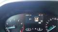 Ford Focus 1.0 EcoBoost 125 CV SW VIGNALE Grigio - thumbnail 5