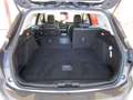 Ford Focus 1.0 EcoBoost 125 CV SW VIGNALE Grigio - thumbnail 11