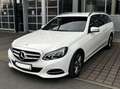 Mercedes-Benz E 220 E 220 T BlueTEC Blue Avantgarde Aut. Weiß - thumbnail 2