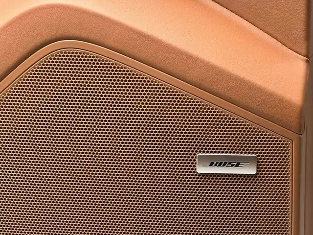 Porsche Cayenne PLATINUM*HUD*PANO*ACC*LUFT*360*BOSE*22'' Ansicht 12