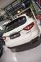 Maserati Levante 3.0 V6 Granlusso Q4 250CV Auto Pelle Totale Tetto Weiß - thumbnail 6