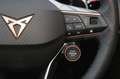 CUPRA Terramar 2.0 TSI 4Drive VZ 2.0 TSI 195 kW 4Drive VZ Weiß - thumbnail 16