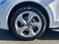 Audi Q5 advanced 50 TDI quattro / Matrix, Air, 360° Blanc - thumbnail 8