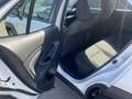 Toyota Yaris Cross 1.5 Hybrid 115 Active Achteruitrij camera, navigat Wit - thumbnail 31