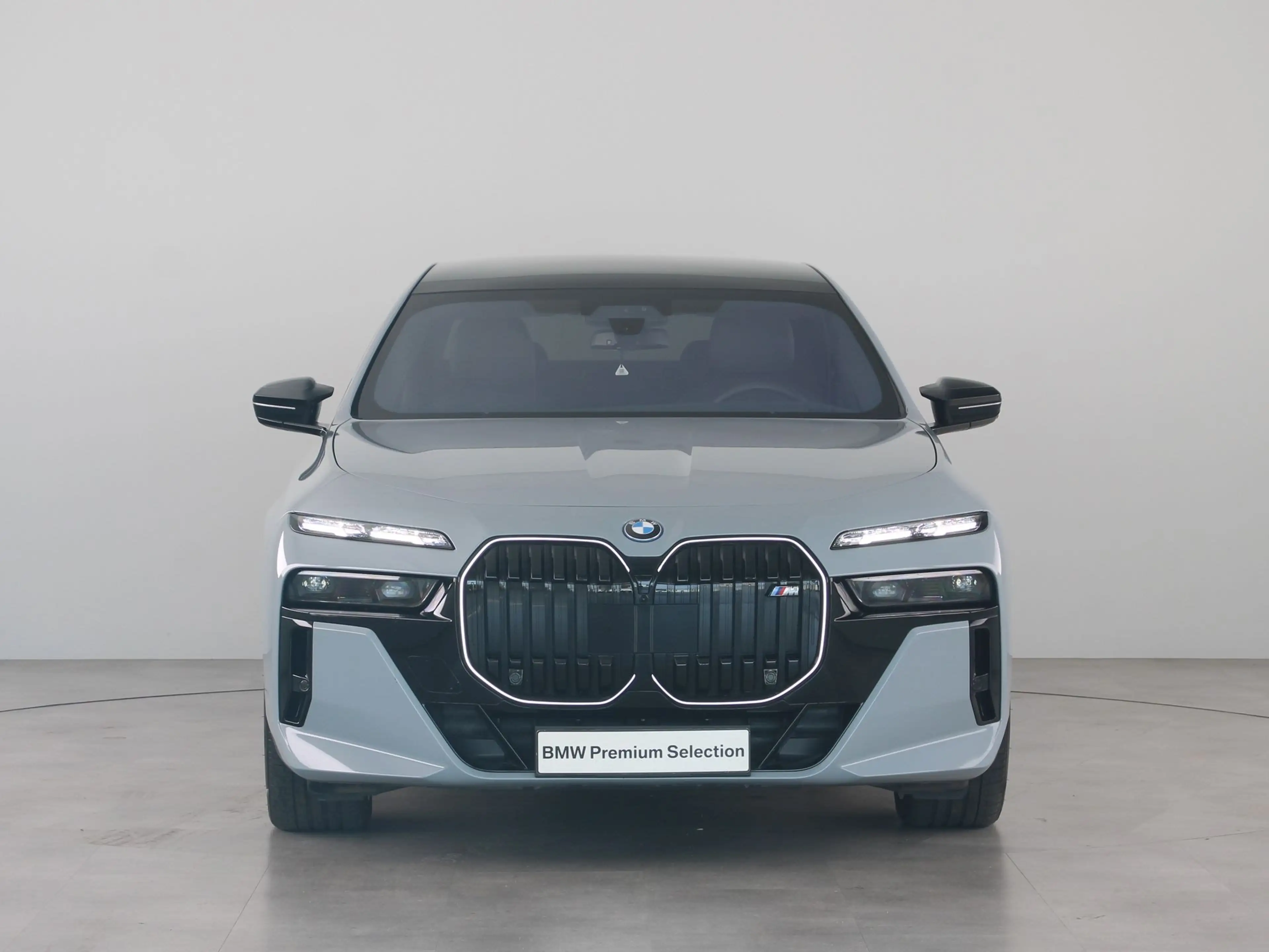 BMW 760 7 Serie M760e xDrive — photo 8