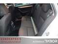 Skoda Octavia Combi 1.4 TSI Edition LM BiXen Climatr. Weiß - thumbnail 7