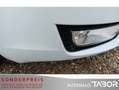 Skoda Octavia Combi 1.4 TSI Edition LM BiXen Climatr. Weiß - thumbnail 12