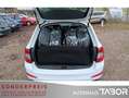 Skoda Octavia Combi 1.4 TSI Edition LM BiXen Climatr. Weiß - thumbnail 6