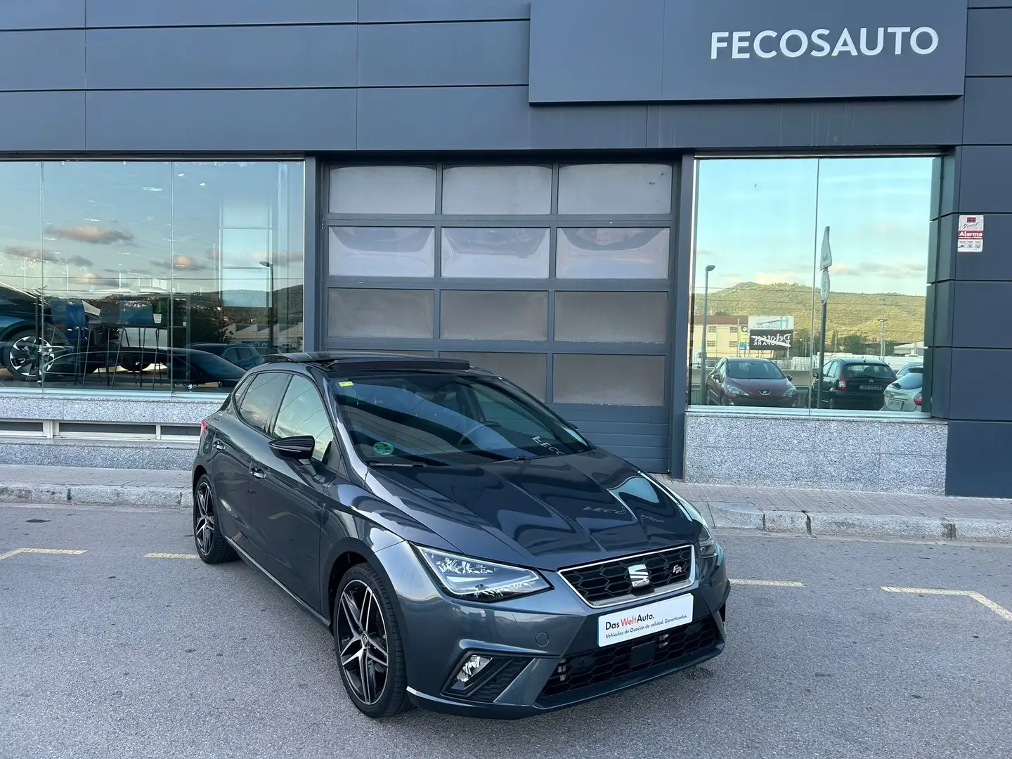 SEAT Ibiza 1.0 TSI 81kW (110CV) FR Go2 Grigio - 1