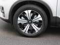 Volvo C40 Recharge Core 69 kWh | Panoramadak | Camera | Appl Gris - thumbnail 14
