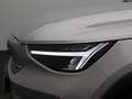 Volvo C40 Recharge Core 69 kWh | Panoramadak | Camera | Appl Gris - thumbnail 15