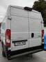 Peugeot Boxer Boxer  2.2 BlueHDI 165 cv L4H2 Blanco - thumbnail 4