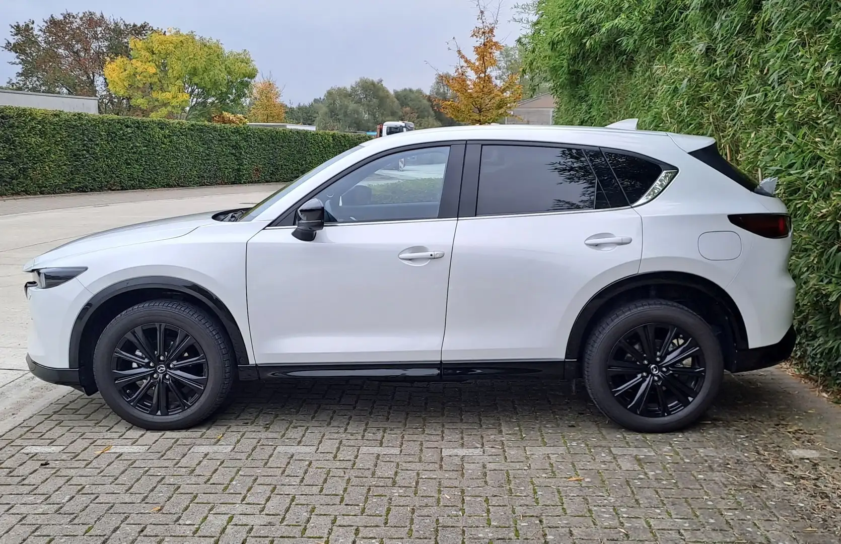 Mazda CX-5 CX-5 e-SKYACTIV-G 165 Aut. Homura+Comfort Pack Wit - 2