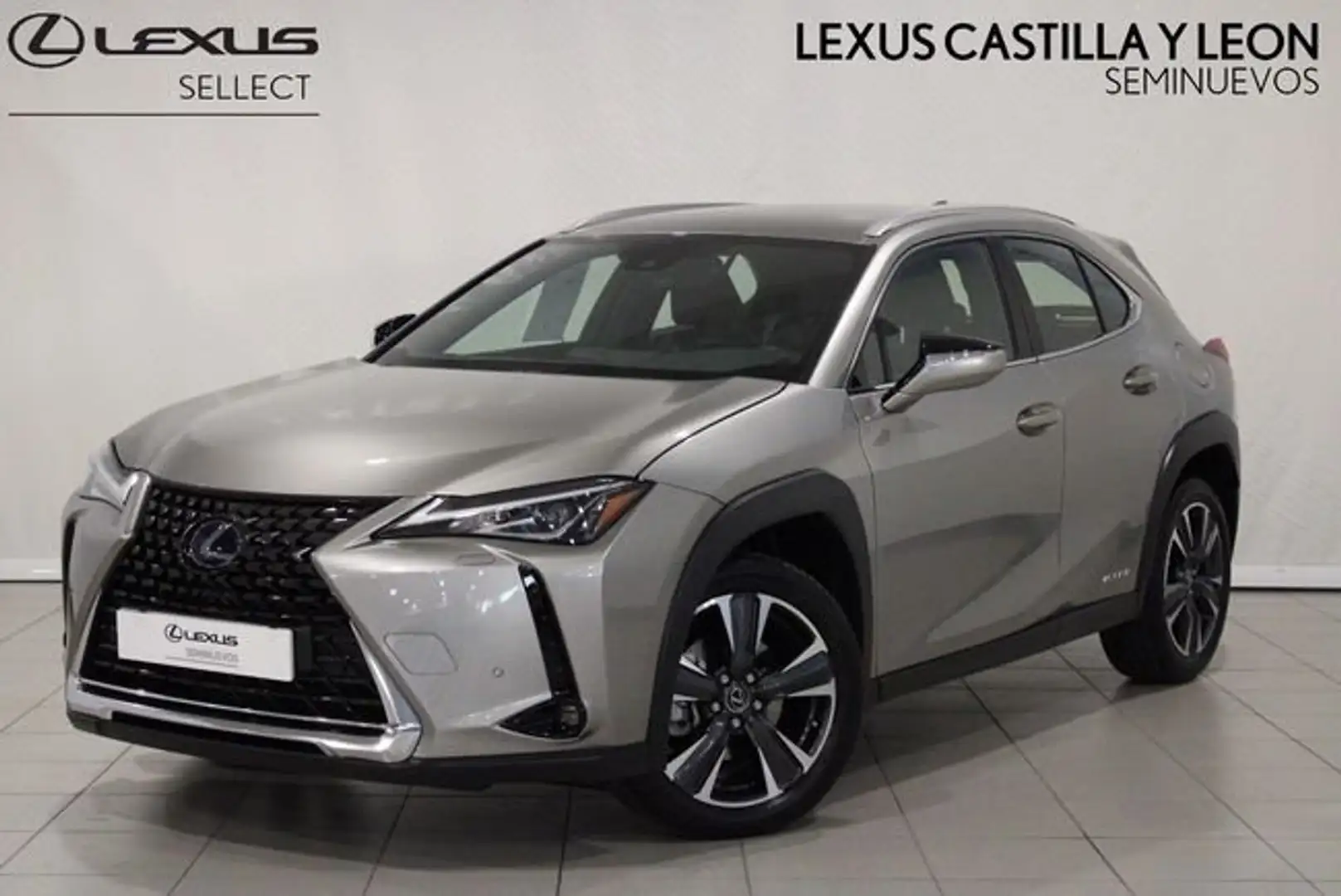 Lexus UX 250h Premium 4WD Gris - 1
