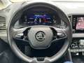 Skoda Karoq Tour 4x4 2.0 TDI DSG StandHeiz EU6d Grau - thumbnail 15