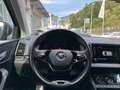 Skoda Karoq Tour 4x4 2.0 TDI DSG StandHeiz EU6d Grau - thumbnail 11