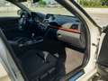BMW 320 Touring cc. 2.0 Turbodiesel Modello M Sport Navig. Bianco - thumbnail 11