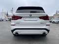 BMW X3 xDrive20d Business Advantage Automatico Bianco - thumbnail 14