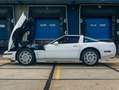 Chevrolet Corvette ZR1 - "King of the Hill" Wit - thumbnail 4
