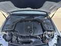 Mercedes-Benz C 220 d 4Matic Exklusive Austria Edition 1.Besitz Blanc - thumbnail 12